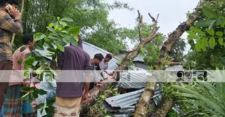 জামালপুরে কালবৈশাখী ঝড়ে মা’সহ ২ মেয়ের মৃত্যু